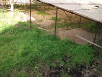 Alcantara_gurne - Zona_archeologica_23122011 048.jpg